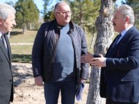 GESİ MESİRE ALANI GÜZELLİĞİYLE BAŞ DÖNDÜRECEK