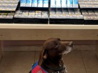 Kayseri'de 570 paket kaçak sigara ele geçirildi 