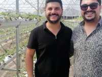 MHP ESKİ MİLLETVEKİLİ SÜLEYMAN KORKMAZ'IN OĞLU SALİH KAZA GEÇİRDİ