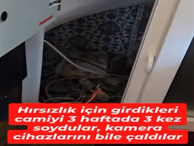 663628.jpeg