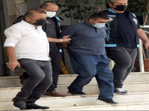 678162.jpeg