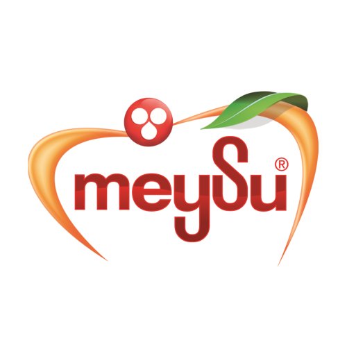 meysu-logo-20251230-230521-0000.png