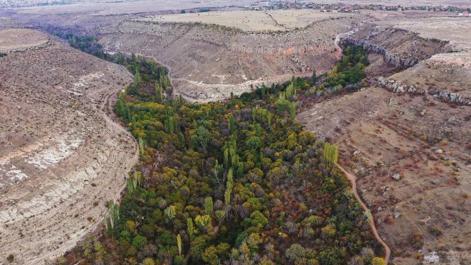 whatsapp-image-2026-09-27-at-12-37-27-pm.jpeg